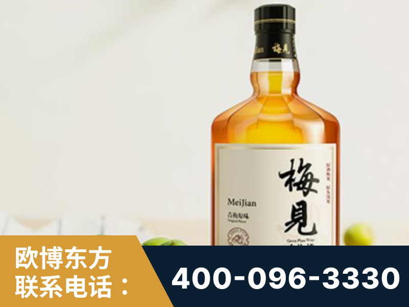 临汾-梅见青梅酒