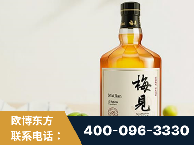 临汾-梅见青梅酒